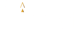 RealConnect Logo